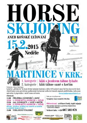 http://galerie-kulisek.euweb.cz/albums/userpics/10001/normal_Plak%C3%A1t_HorseSkijoring_2015_-_B.jpg